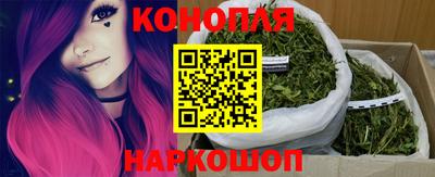 гидропоника Ярославль