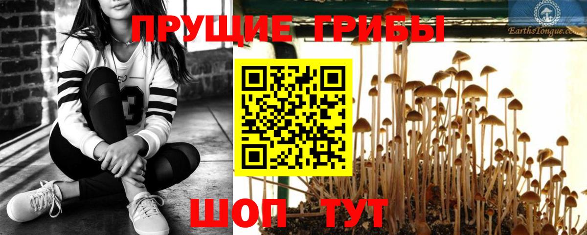 сколько стоит  Галлюциногенные грибы ЛСД  Псилоцибиновые грибы Psilocybine cubensis  Вход с VPN  Красноуфимск 